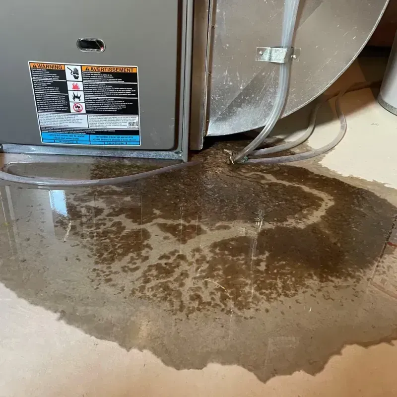 Appliance Leak Cleanup in Coachella, CA